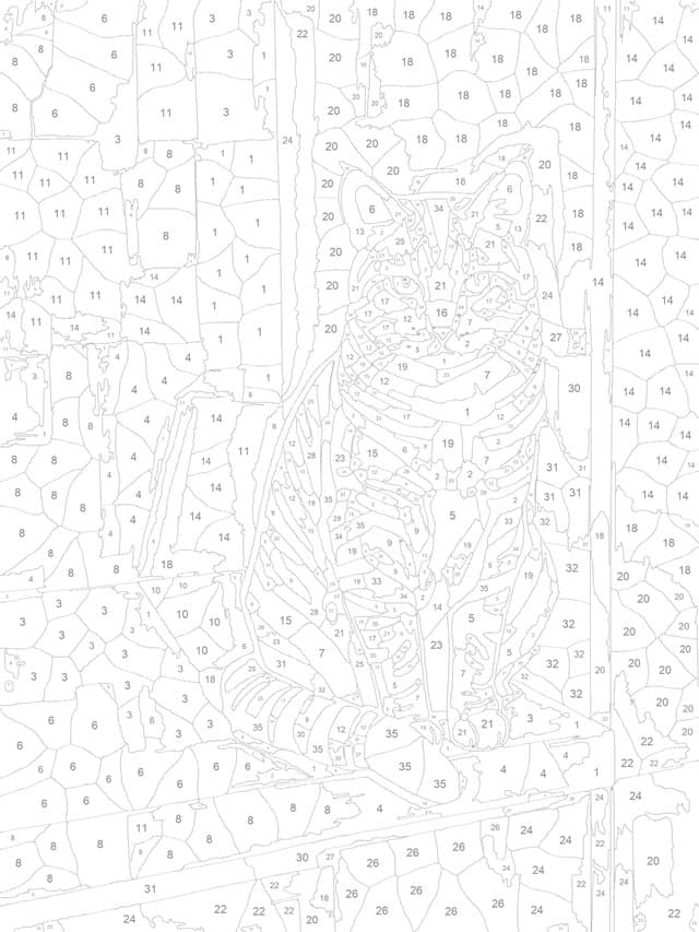 Le coloriage numéroté du chat